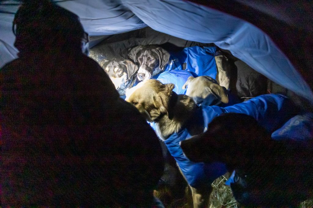 La Grande Odyssée — photo Alexandre Gendron