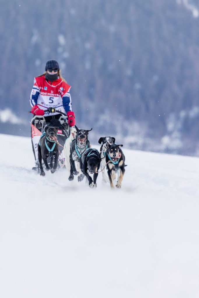 La Grande Odyssée — photo Alexandre Gendron